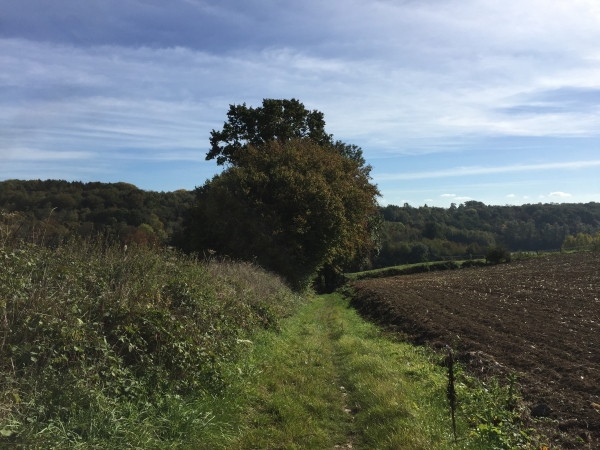 GR25 près du bois du Château de Fresquienne.