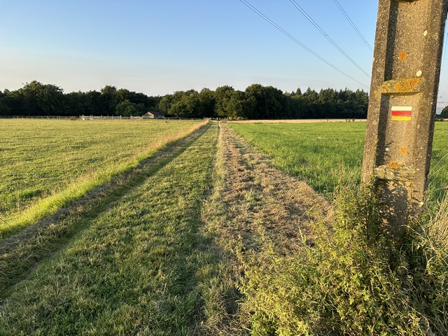 Nous avons traversé la D43, et continuons sur le chemin de la messe (GR2) en direction du bois de la Fontaine.