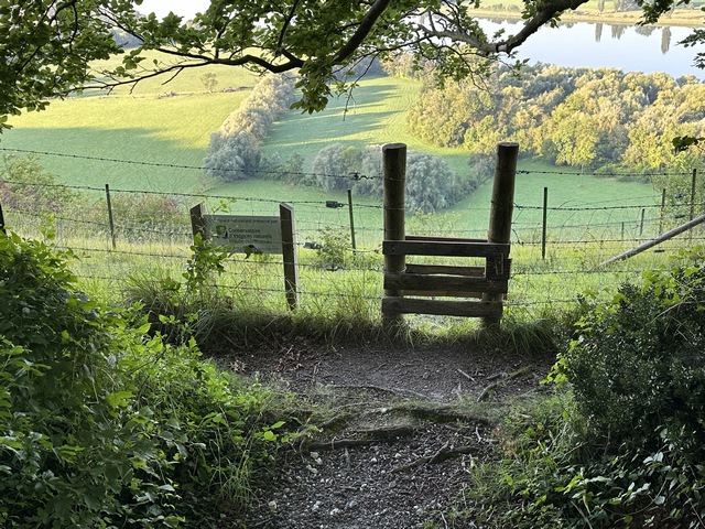 Toujours sur le GR2, nous marchons maintenant en forêt domaniale de Roumare. Un passe-clôture permet ici d'entrer, avec précaution, dans la réserve naturelle de la Côte de la Fontaine, propriété du Conservatoire d'Espaces Naturels.