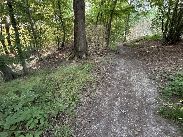 Au sommet de la butte, nous traversons le Camp de César, ancien oppidum aménagé à une époque où la boucle de Roumare était largement déboisée, et où il dominait la vallée de la Seine.