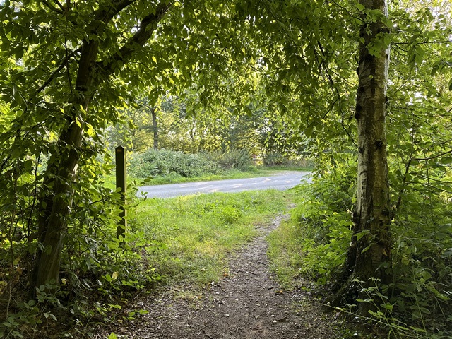 Nous allons traverser la route de la Fontaine, D86, et continuer en face.
