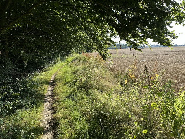 Nous arrivons à la Vaupalière, nous allons quitter les bois pour traverser la Plaine de Melmont.
