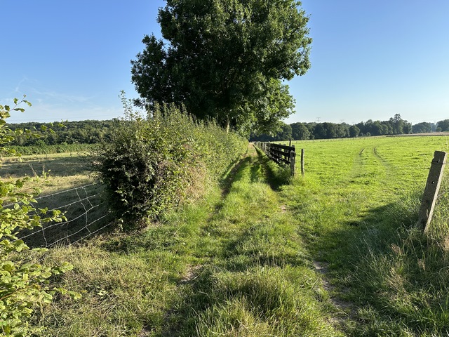 Chemin de Saint-Thomas entre le Haut-de-l'Ouraille et St-Thomas-la-Chaussée.