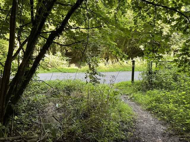 Traversée du Chemin de la Maison Margot, D47. Nous allons continuer en face.