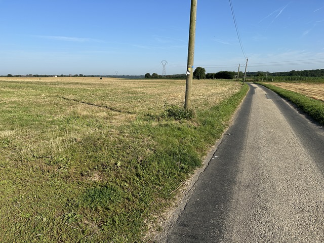 Nous sommes sur le chemin du Mont-Rôti. Attention, il faut passer ici devant le poteau et sa balise jaune sur un chemin qui se distingue à peine des champs voisins.&nbsp;