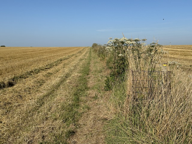 Le chemin traverse la plaine agricole en direction du hameau des Crépins.