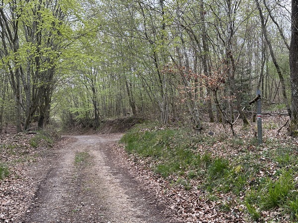 Je vais ici tourner à droite sur le chemin de Cramponnière, toujours sur le GR222.