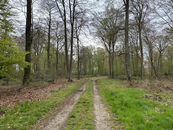 Le GR222 suit maintenant le chemin des Deux Mères.