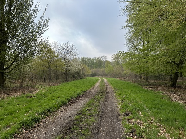 Chemin des Deux Mères.