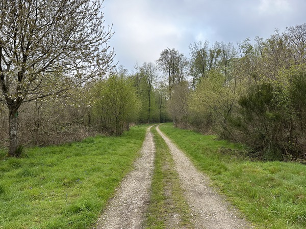 Chemin des Deux Mères.