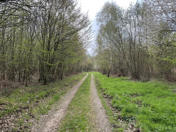 Je suis maintenant sur le chemin du Vallot. Comme on le voit depuis le départ, les chemins sont empierrés et permettent une randonnée en période humide.