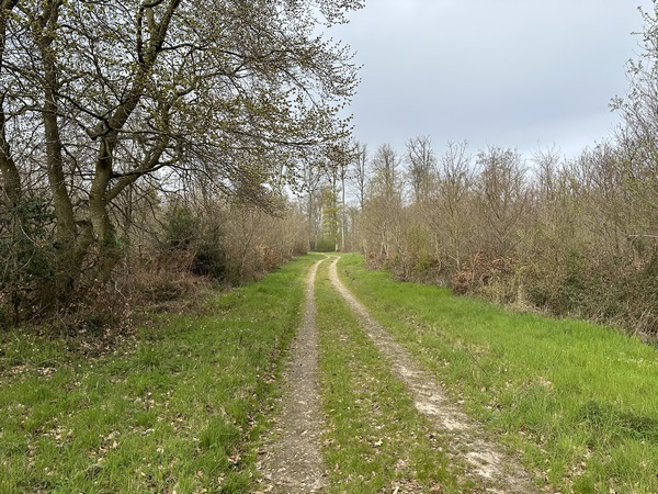 Chemin des Bosquets en direction du hameau de la Cramponnière.