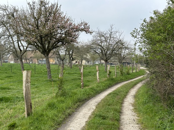 J'arrive au hameau de la Cramponnière, avec en face, la ferme qui a donné son nom au hameau.