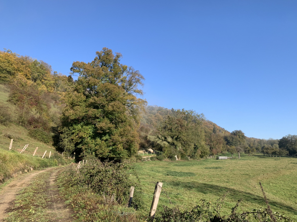 Nolleval, chemin de la Forge. Nous sommes sur l'ancienne voie ferrée de Charleval à Serqueux.