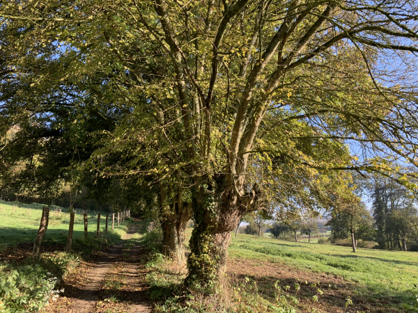 Normanville, chemin de la Forge. Nous sommes sur l'ancienne voie ferrée de Charleval à Serqueux.