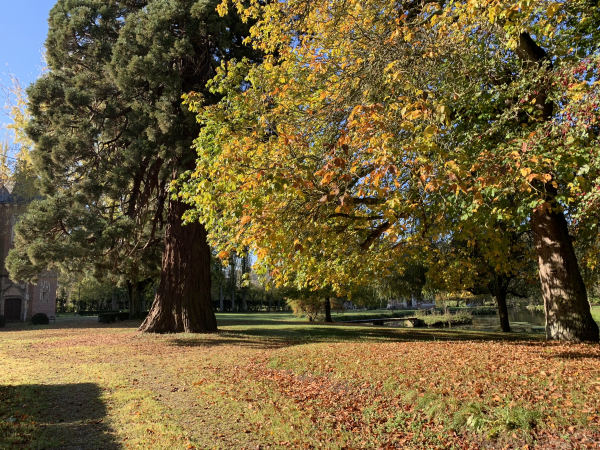 Parc et étang du Manoir de la Reine Blanche au hameau de Mesnil Lieubray. Le manoir tient son nom à la reine Blanche d'Evreux, veuve de Philippe VI de Valois qui s'y installa. Le manoir est désormais une propriété de la famille Bhutto-Zardari (Président du Pakistan jusqu'en 2013).