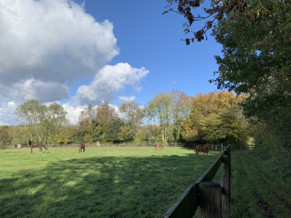 Chemin de Morgny, le Mesnil-Lieubray.