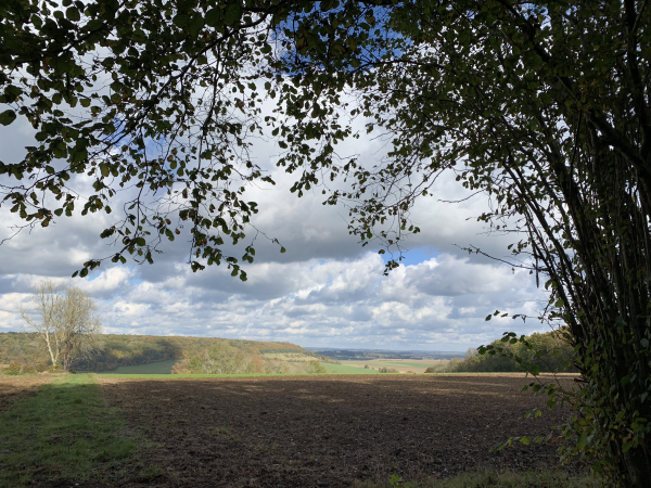Le Mesnil-Lieubray, chemin de la Mistacrie.