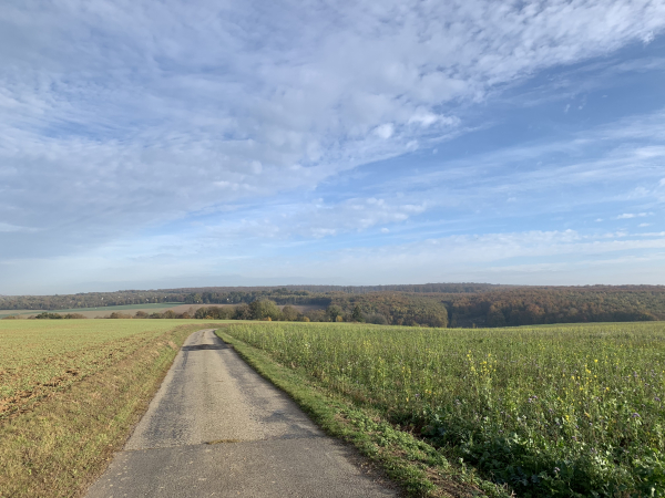 Coudray, descente vers la forêt domaniale de Lyons.