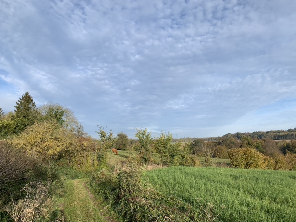 Coudray, chemin du Vaurose.