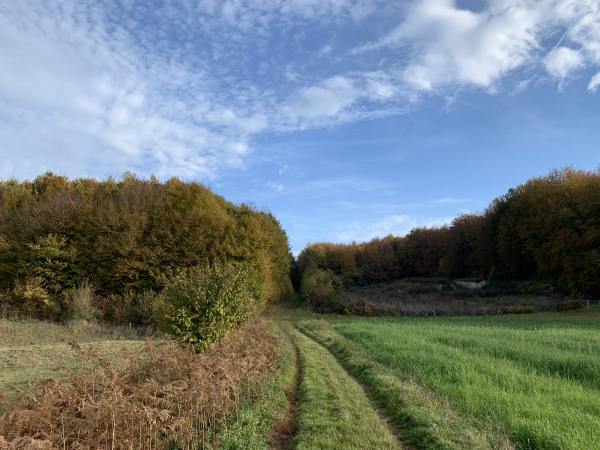 Coudray, entrée en forêt domaniale de Lyons par le chemin du Vaurose.