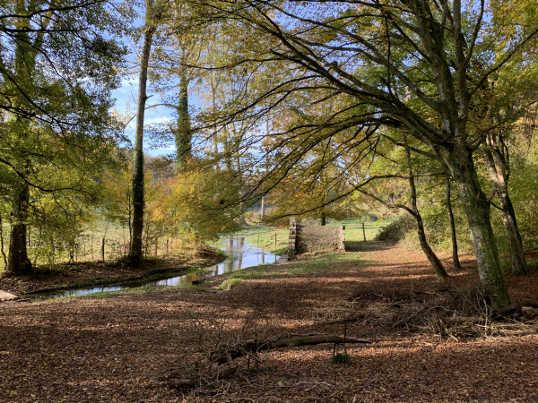 Forêt domaniale de Lyons, fontaine Sainte-Catherine, l'une des sources du Fouillebroc (affluent de l'Andelle). La fontaine a été édifiée au XVIIIè siècle. La chapelle est restaurée en 1987 par Pierre Fromont et entretenue par l'association Sainte-Catherine. La fontaine faisait l'objet d'un pèlerinage, les filles célibataires venaient demander un mari à Sainte Catherine.