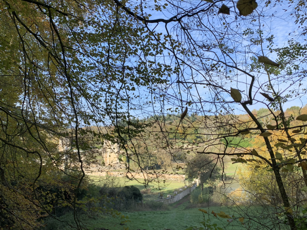 Forêt domaniale de Lyons, Abbaye de Mortemer. Construite en 1134 sur un marécage qui lui a donné son nom. L'abbaye, propriété privée, est en ruine, hormis un bâtiment du 18è qui abrite un musée.