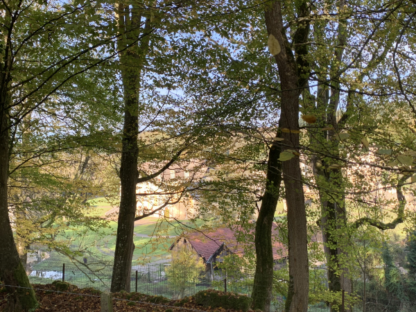 Forêt domaniale de Lyons, Abbaye de Mortemer. Construite en 1134 sur un marécage qui lui a donné son nom. L'abbaye, propriété privée, est en ruine, hormis un bâtiment du 18è qui abrite un musée.