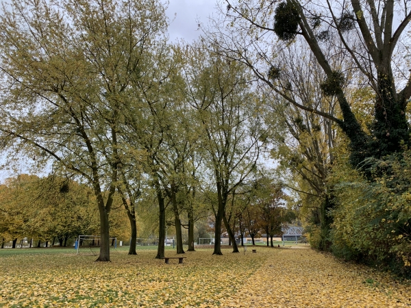 Rouen, sur le chemin qui fait le tour de l'île Lacroix.