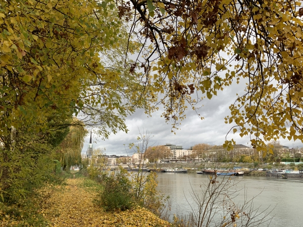 Rouen, sur le chemin qui fait le tour de l'île Lacroix. En face, la flèche de la cathédrale Notre-Dame de Rouen.