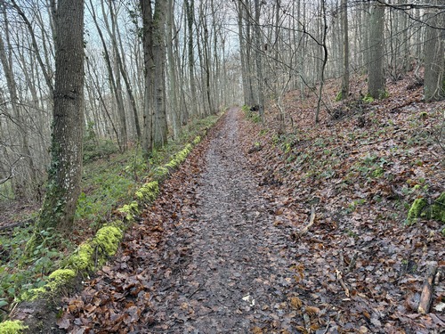 Peu après le départ, nous prenons le chemin qui part vers l'est et monte gentiment vers le plateau.