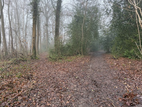 A proximité de La Saussaye, nous prenons le chemin ici à gauche pour marcher vers la Collégiale.