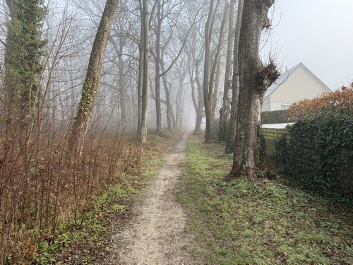 Le chemin se faufile entre le bois des Chanoines et les maisons de la cité Schneider.