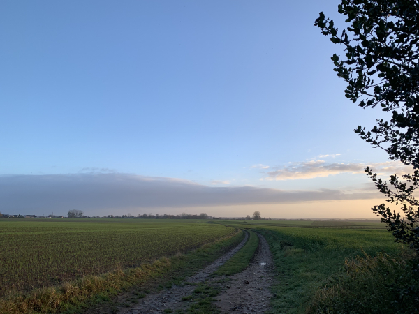 Auzouville-sur-Ry, plaine du Moulin à Vent