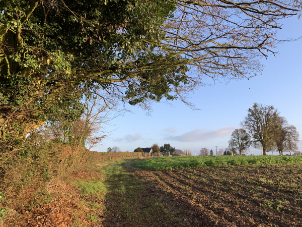 Auzouville-sur-Ry, sente aux Pinchons