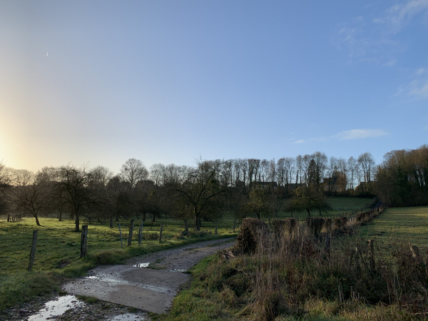 Auzouville-sur-Ry, regard arrière sur le chemin de la Côte en direction d'Auzouville