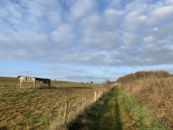 Martainville-Epreville, chemin du Mouchel