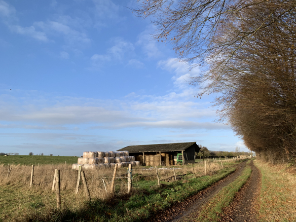 Martainville-Epreville, chemin du Mouchel