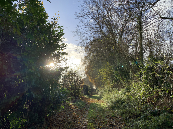 Martainville-Epreville, chemin en direction de Bois-l'Evêque