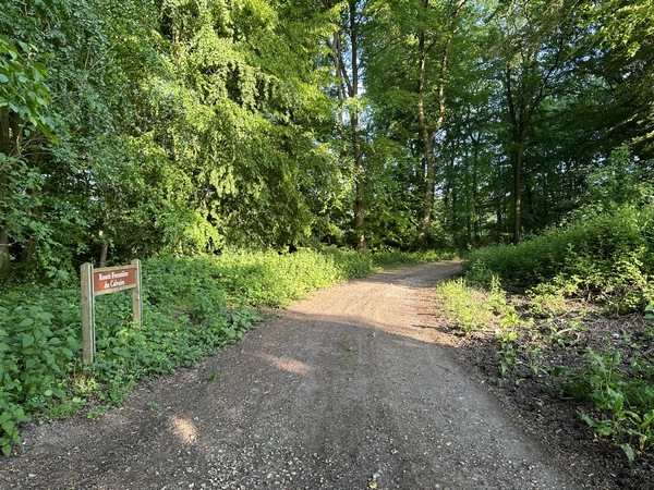 Nous entrons en forêt domaniale de Roumare par la route forestière du Calvaire.