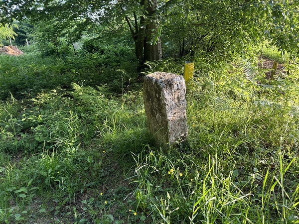 Nous passons devant cette borne flanquée de la fleur de lys. Avant de devenir domaniale au XVIIIe siècle, la forêt de Roumare était royale.