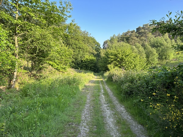 Nous descendons le chemin du Fond du Piège, en direction de la D267.