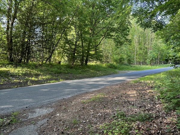 Nous traversons la D94 pour continuer sur le chemin que l'on devine en face.