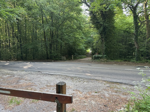 Nous traversons la D86 pour continuer en face, sur la route forestière des coteaux.
