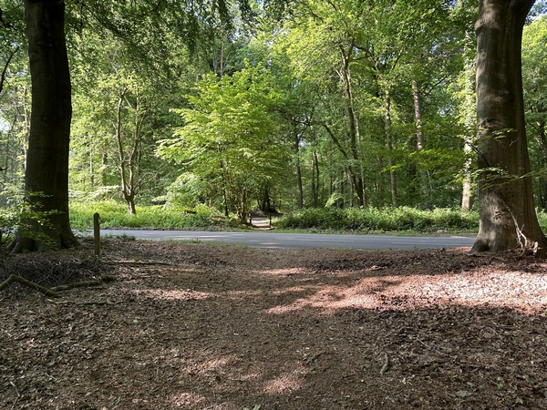 Nous traversons la D94 pour continuer en face.