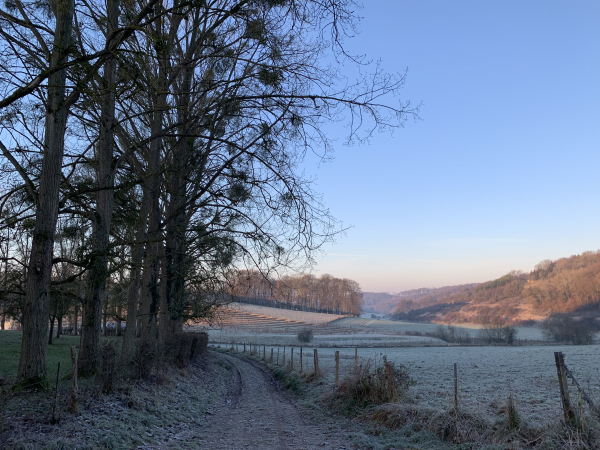Les Grandes Ventes, nous descendons dans le vallon de la Basse Canne.