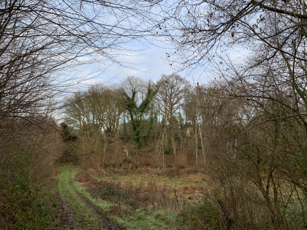 Nous arrivons près de la Frovillière.