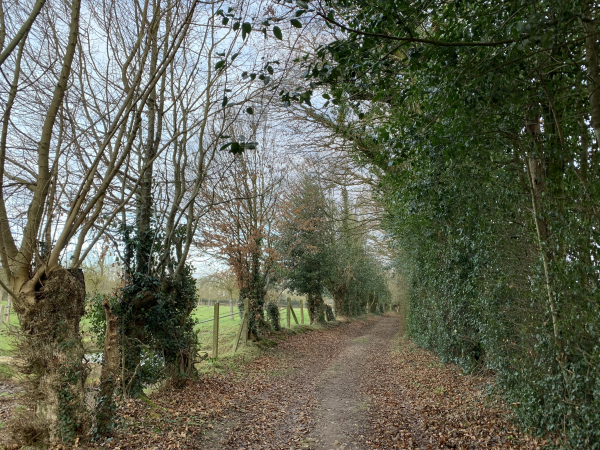 Nous sommes descendus dans la vallée du Cosnier, et nous remontons vers la Henrière.