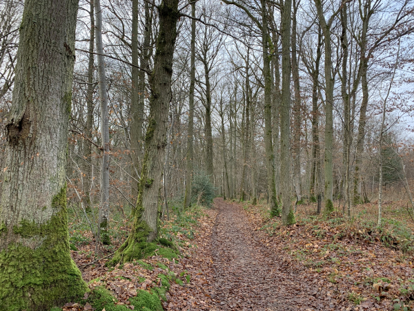 Nous suivons maintenant le GR 26 qui nous reconduira jusqu'à Grand-Camp.