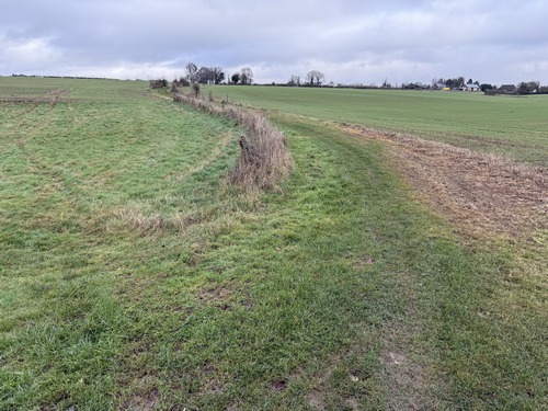 Après avoir traversé la route d'Epreville, nous entrons dans la plaine du Clos Blanchart par l'un de ces nombreux chemins agricoles qui font l'essentiel de ce circuit.